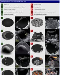 Protegido: Clasificación de IOTA